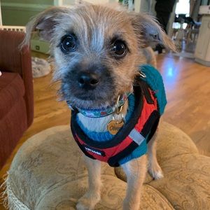 Meet your Posher, Elissa